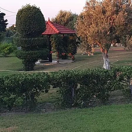 Stemma Ialisos וילה *